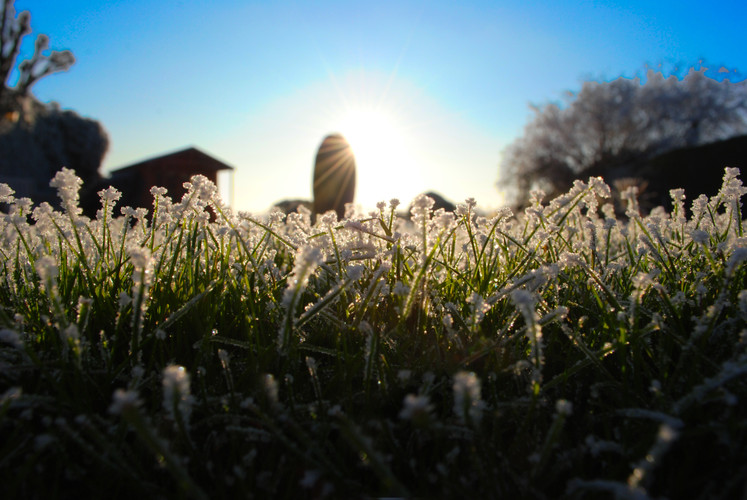 Repairing Low Vitamin D