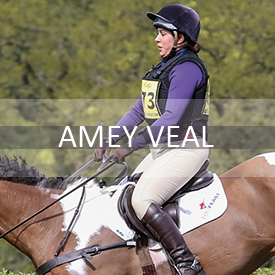 amey-veal.png