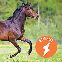 energy-a.png