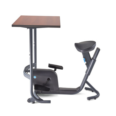 lifespan desk bike