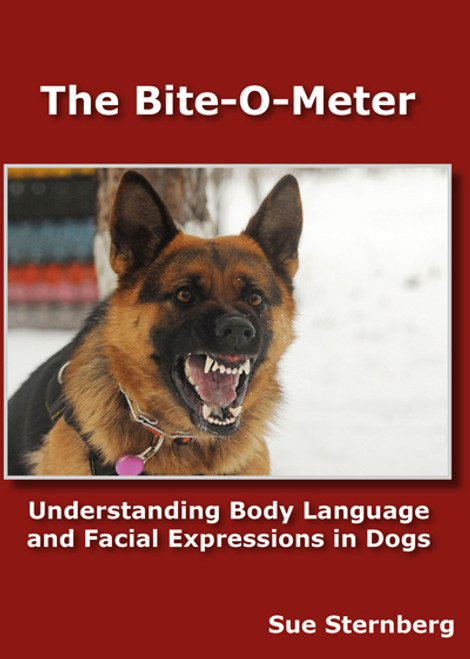 Terrier Centric Dog Training Terrier Centric Dog Training