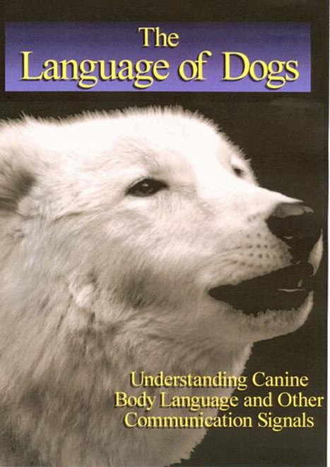 Canine agression quick style