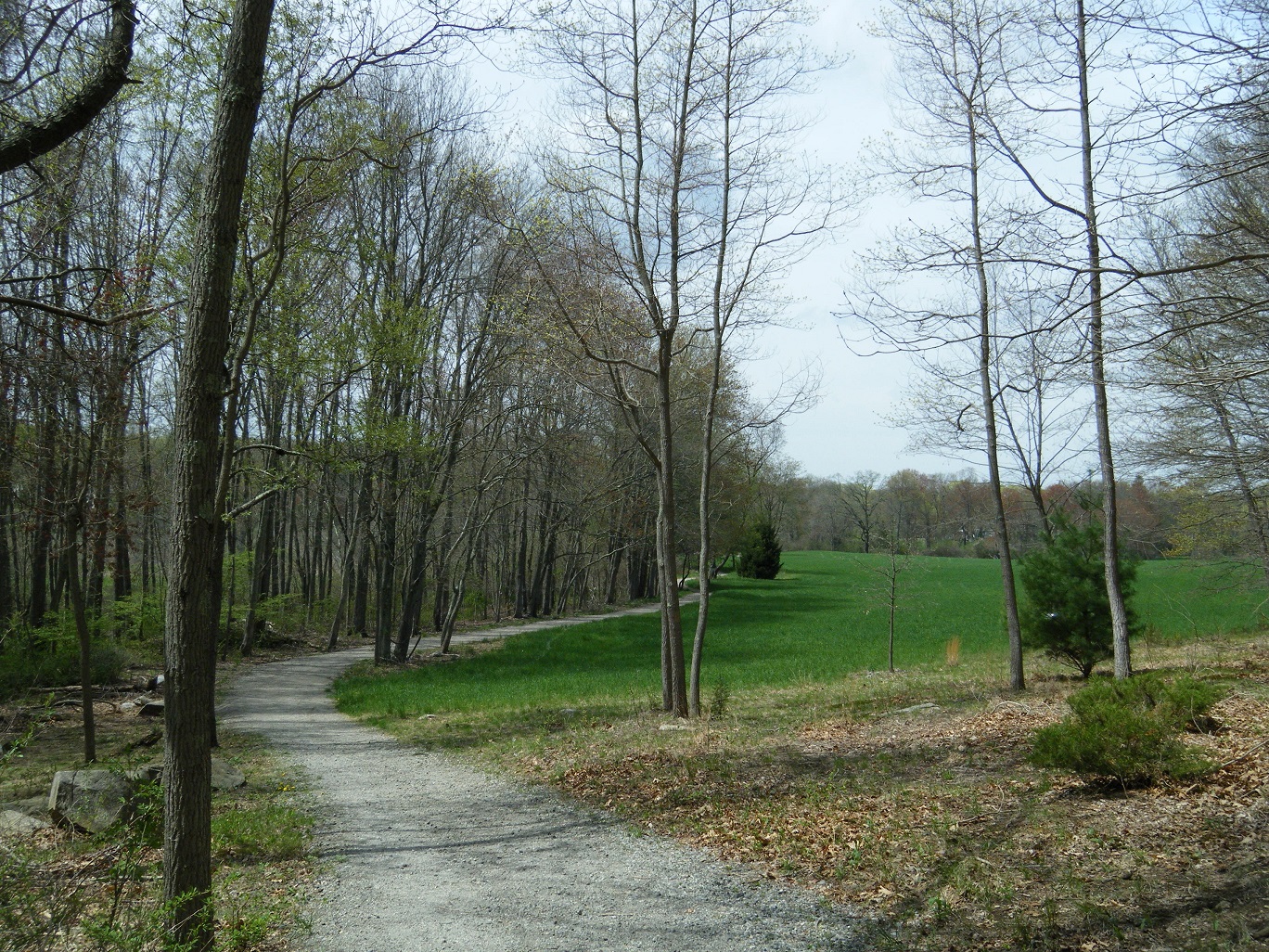 Shelton Lakes Recreation Path Hiking Shelton CT EXCURSIONS Journey