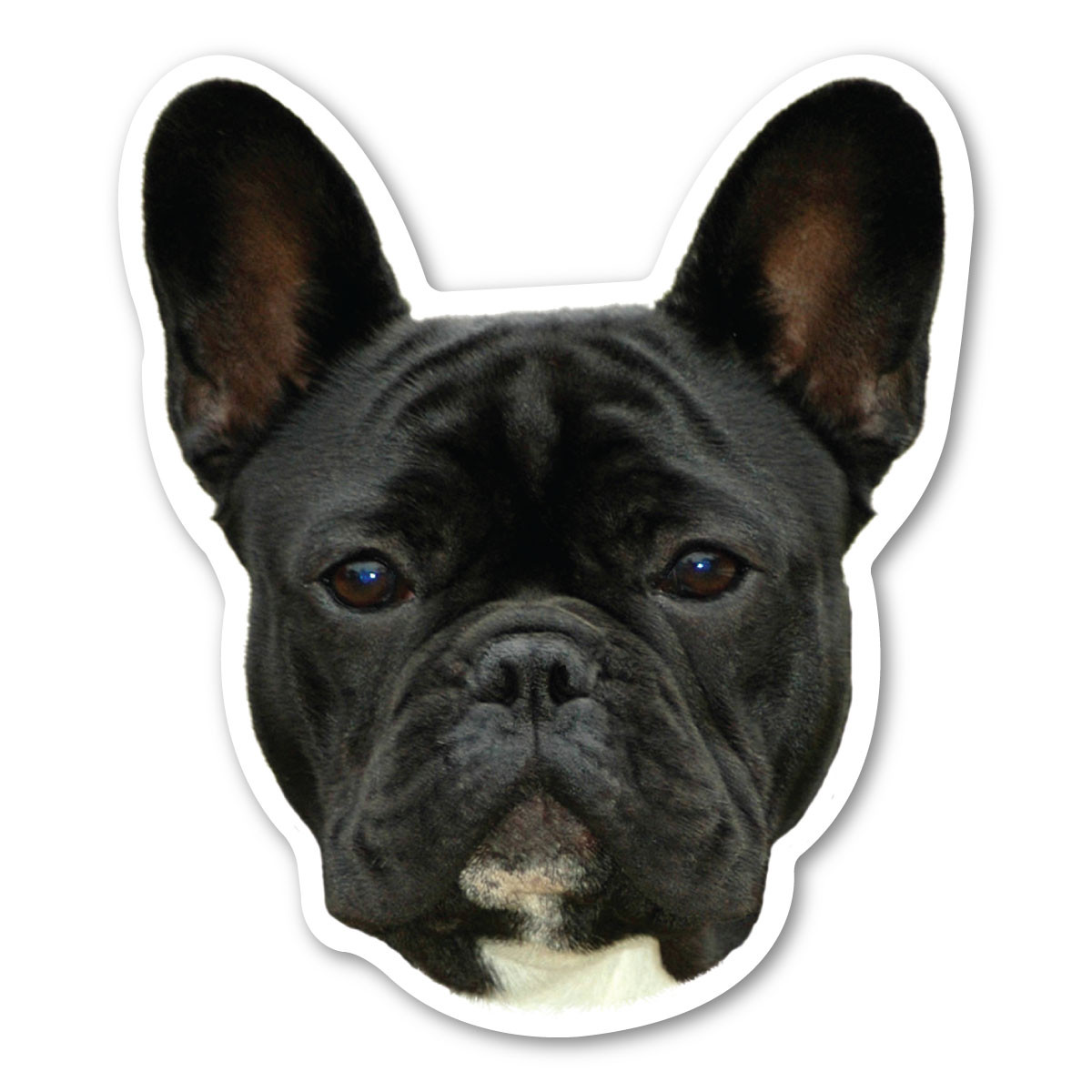 (Black) French Bulldog Magnet | Magnet America