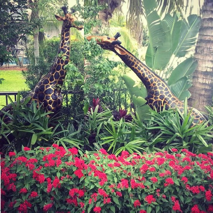 Giraffe Statue Large Outdoor Bronze Statue