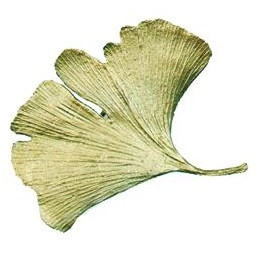 Leaf Jewelry | Leaf Necklaces | Leaf Pins