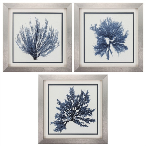 Coral Blue Seaweed Art - Set of 3