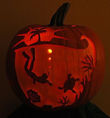 coastal pumpkin roundup carons beach house