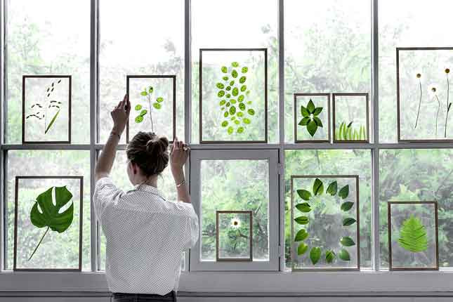 INSPIRATION /// THE GREEN EFFECT