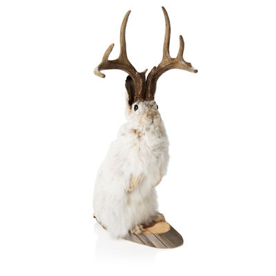 standing jackalope evolution store