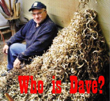 Shavings of art