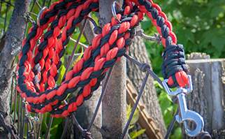 Paracord Leash