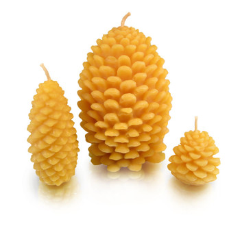 Pine Cone Beeswax Candle - Morning Song Gardens