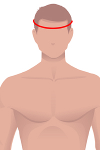 Forehead Measurement