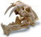 Saber Tooth Cat Skull with Stand | Museum Store Company