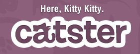 Catster Review Catster review of Kitten Mitten