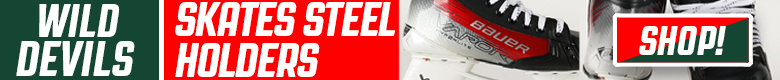 Pro Stock Hockey Detroit Red Wings Sticks