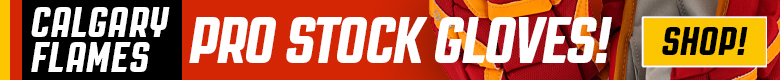 Pro Stock Hockey Detroit Red Wings Sticks