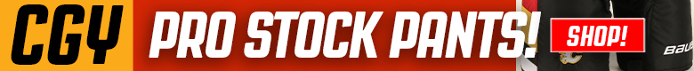 Pro Stock Hockey Detroit Red Wings Sticks