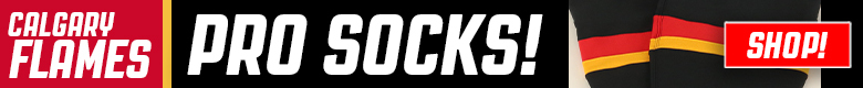 Pro Stock Hockey Detroit Red Wings Sticks