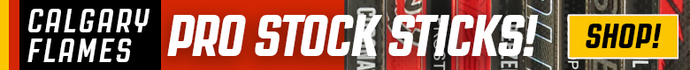 Pro Stock Hockey Detroit Red Wings Sticks