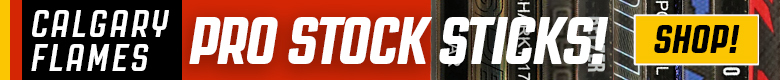 Pro Stock Hockey Detroit Red Wings Sticks