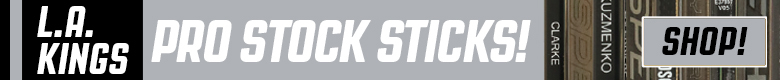Pro Stock Hockey Detroit Red Wings Sticks