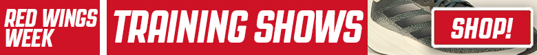 Pro Stock Hockey Detroit Red Wings Sticks