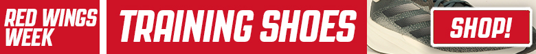 Pro Stock Hockey Detroit Red Wings Sticks