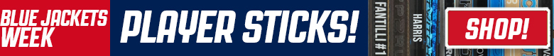 Pro Stock Hockey Detroit Red Wings Sticks
