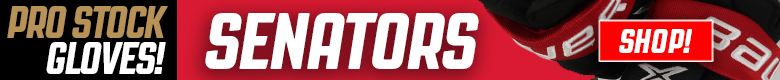 Pro Stock Hockey Detroit Red Wings Sticks