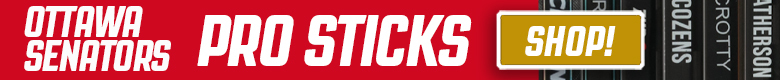 Pro Stock Hockey Detroit Red Wings Sticks