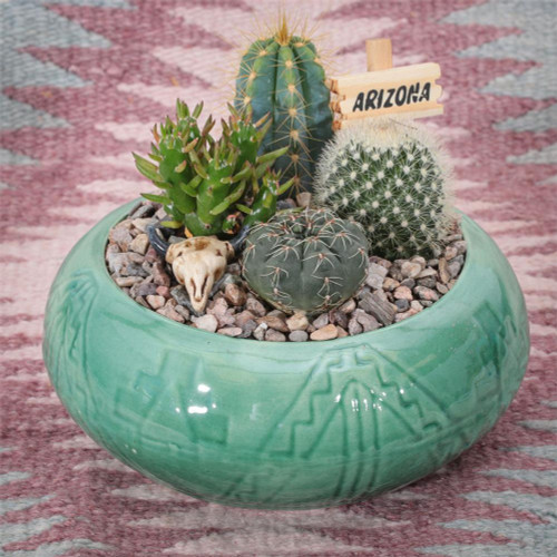 Southwest Cactus Garden 5 inch Arizona Gifts