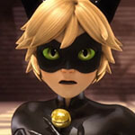 Chat Noir Cosplay Wig