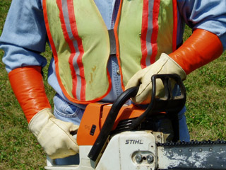 arm-chaps-forestry.jpg arm-chaps-forestry.jpg