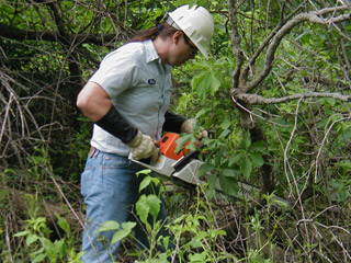 arm-chaps-protection-chain-saw-brush.jpg arm-chaps-protection-chain-saw-brush.jpg
