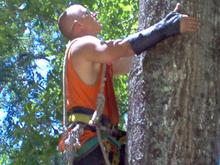 arm-chaps-tree-service-3.jpg arm-chaps-tree-service-3.jpg