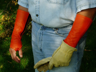arm-chaps-tree-service-safety-orange.jpg arm-chaps-tree-service-safety-orange.jpg