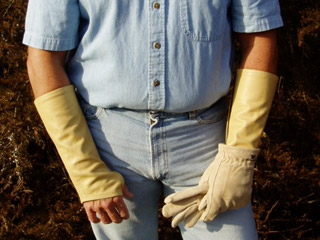 arm-chaps-tree-service-tan.jpg arm-chaps-tree-service-tan.jpg