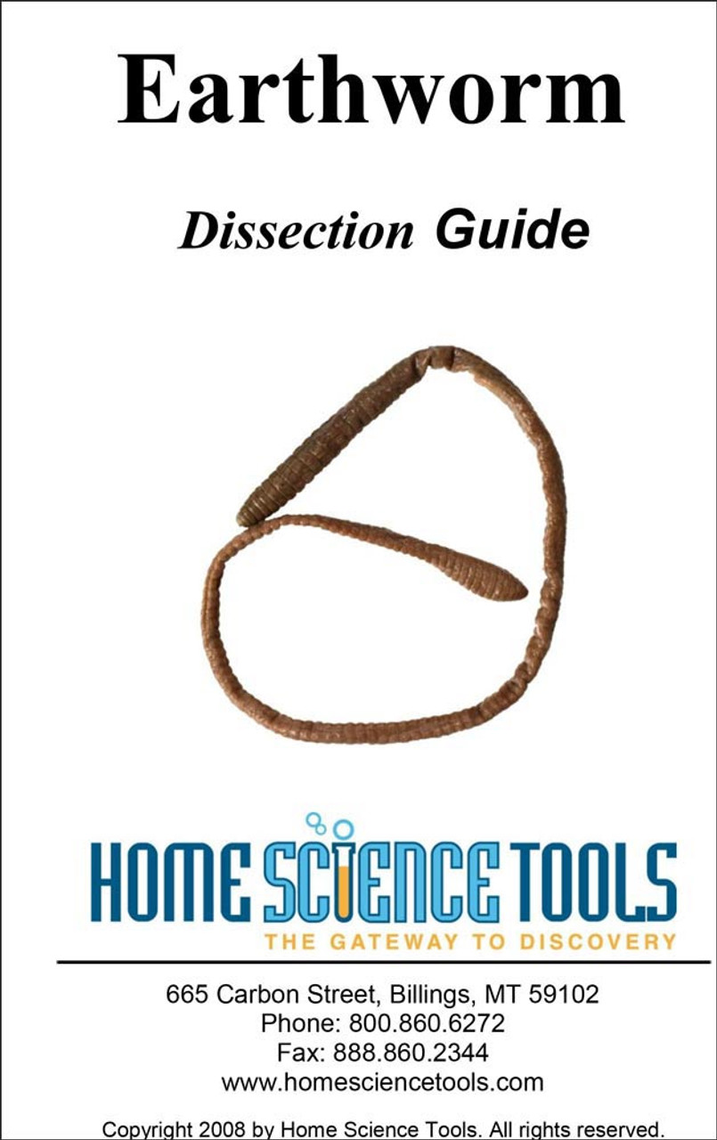 earthworm dissection guide earthworm dissection guide earthworm dissection guide earthworm dissection guide