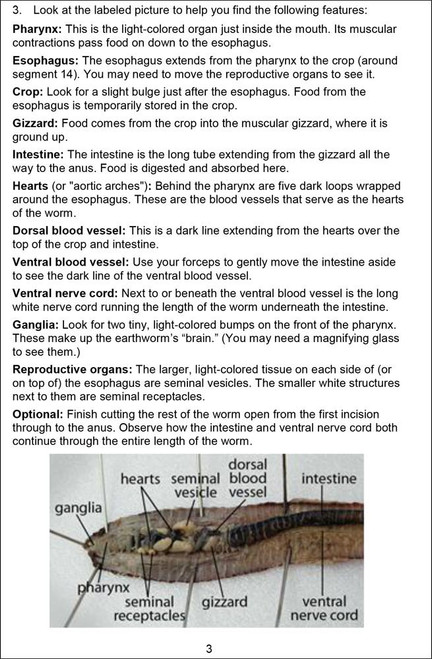 earthworm dissection guide pdf earthworm dissection guide earthworm dissection guide pdf earthworm dissection guide