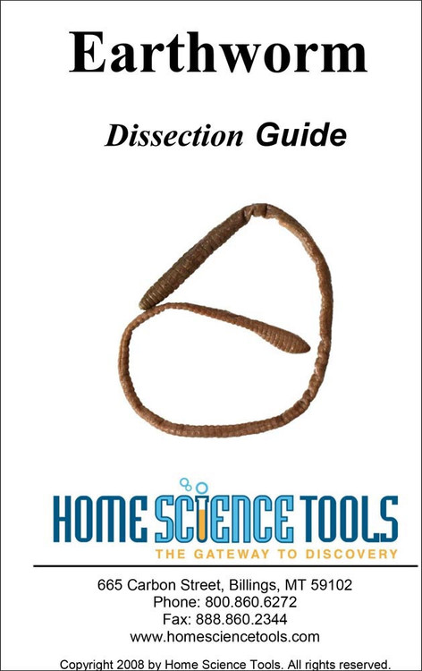 earthworm dissection manual earthworm dissection guide earthworm dissection manual earthworm dissection guide