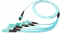 MTP/MPO Fiber Assemblies