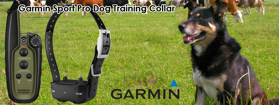 Training Dog Collars Nz Training Dog Collars Nz