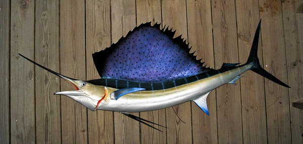 Sailfish 79 inch Left Full mount fiberglass fish replica - The Fish ...