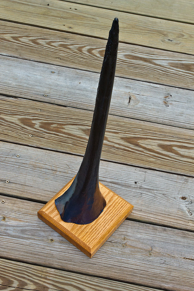 Blue Marlin bill The Fish Mount Store