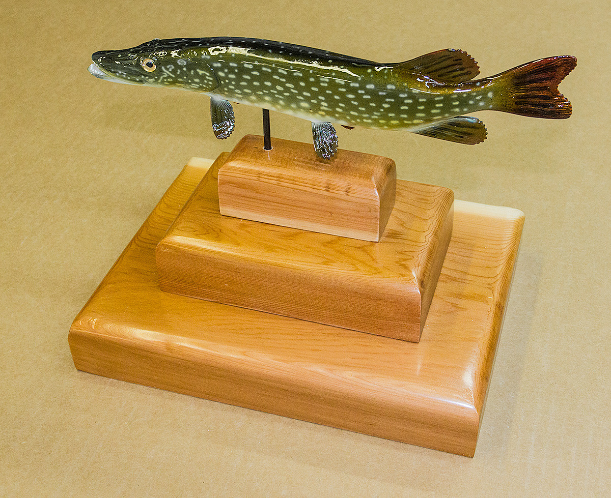 Pedestal Mount Trophy The Fish Mount Store