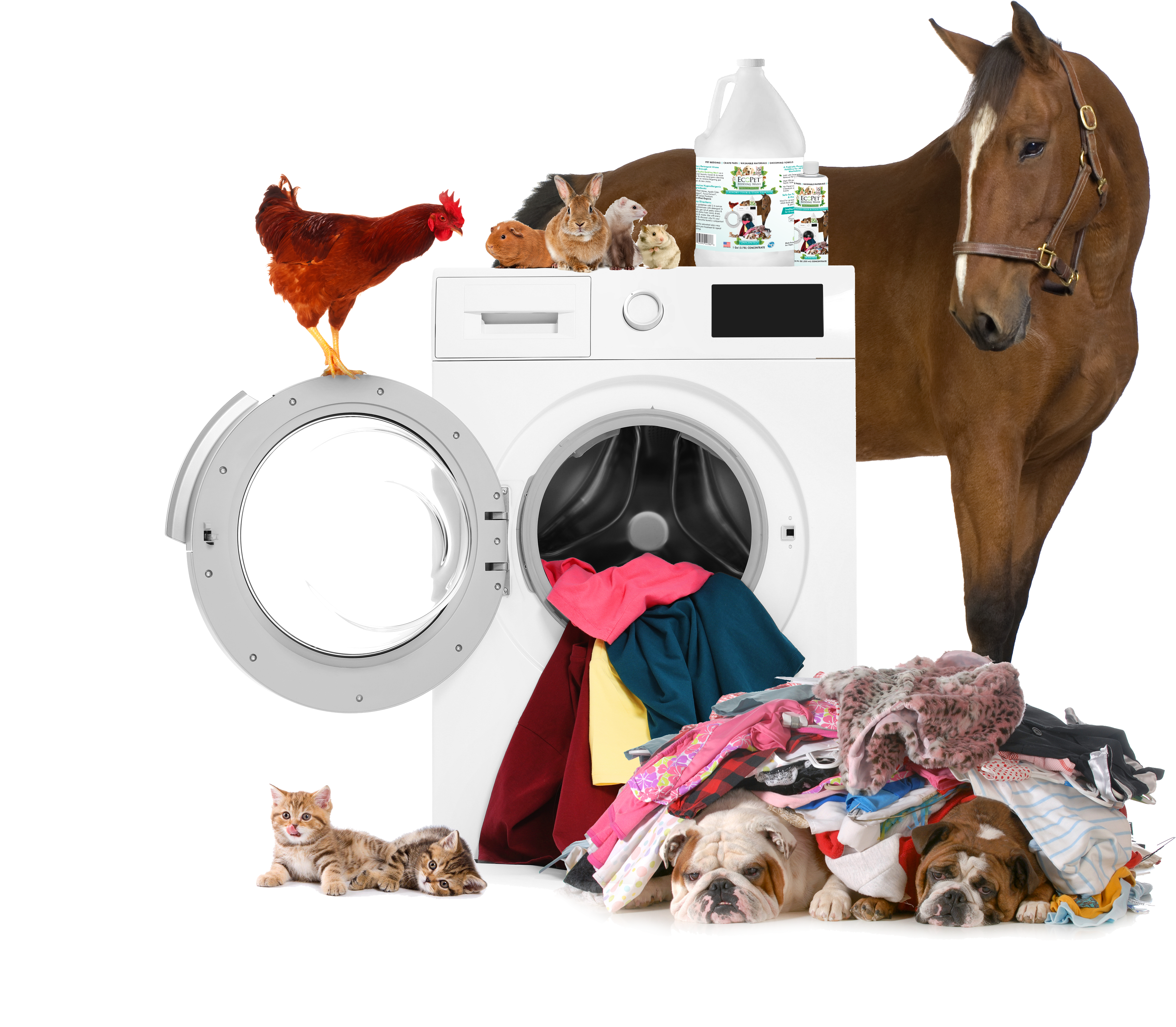 bedding-wash-pets-on-washer.png