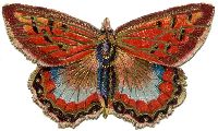 naturalstonejewelrybutterfly2.jpg naturalstonejewelrybutterfly2.jpg