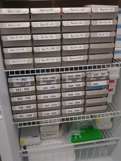 neat-and-organized-lab-freezer-stellar-scientific.original.png